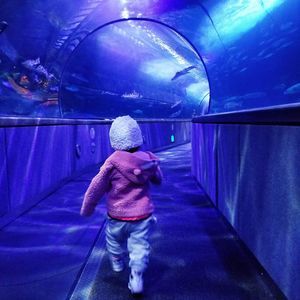 Meet your Posher, Bridgette